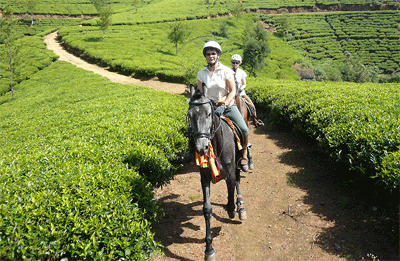 Ceylon, Sri Lanka, horseback riding