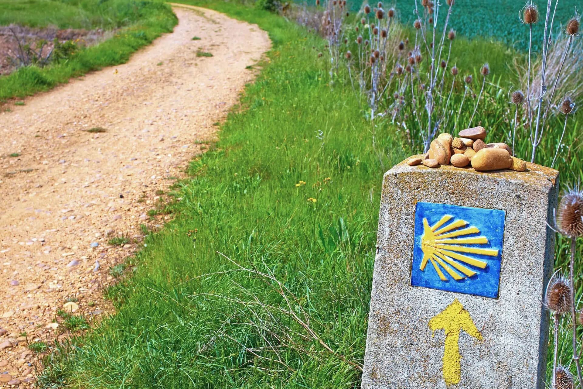 スペイン サンティアゴ巡礼路7泊8日