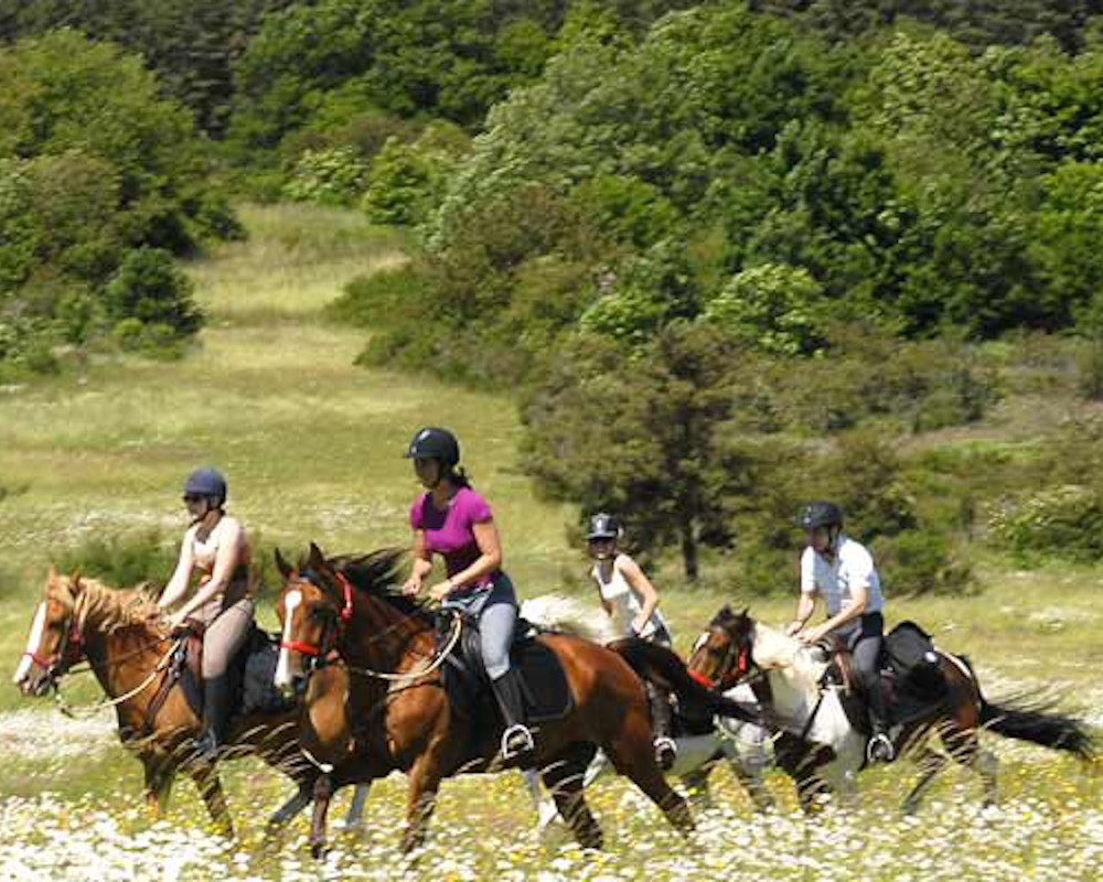 Horseback Riding in France