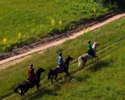 ブルガリア乗馬ツアー