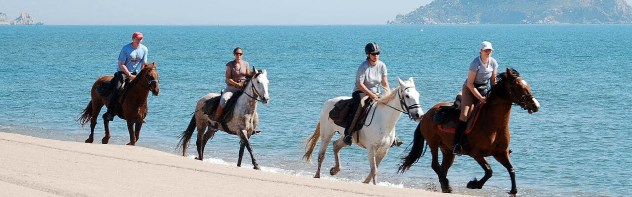 スペイン乗馬ツアー