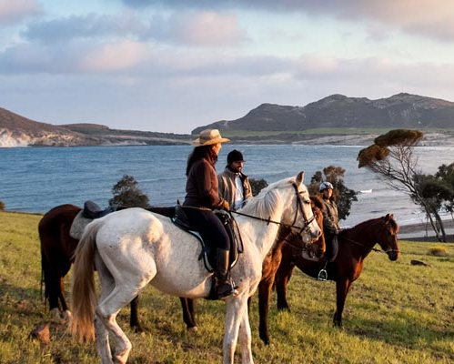 スペイン乗馬ツアー
