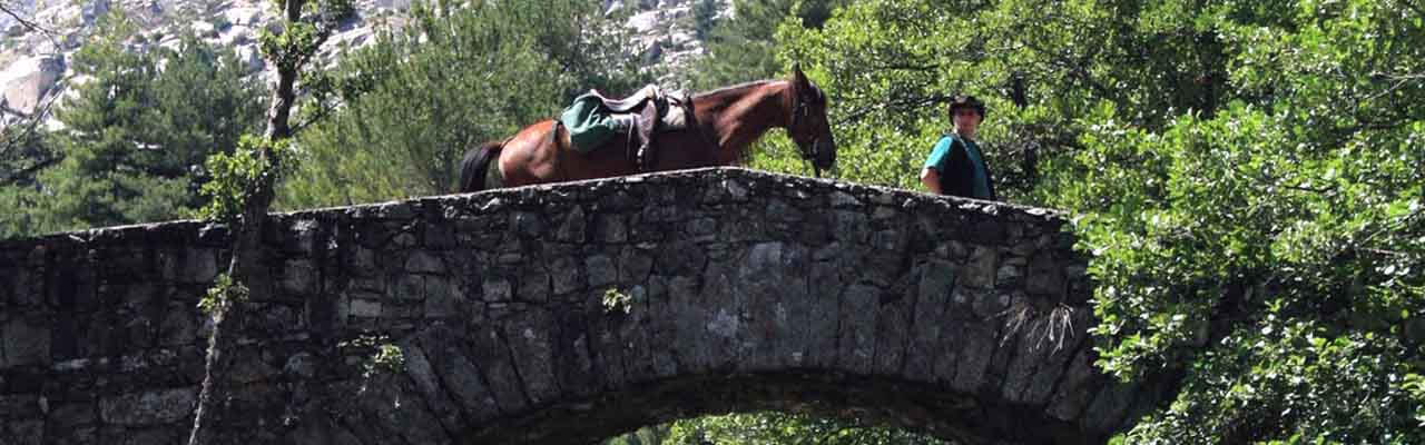 フランス乗馬ツアー