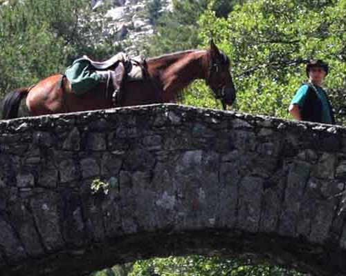 フランス乗馬ツアー