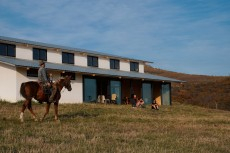 ジョージア コーカサスランチステイ2