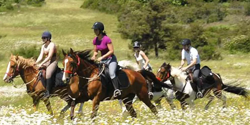 Horseriding in France
