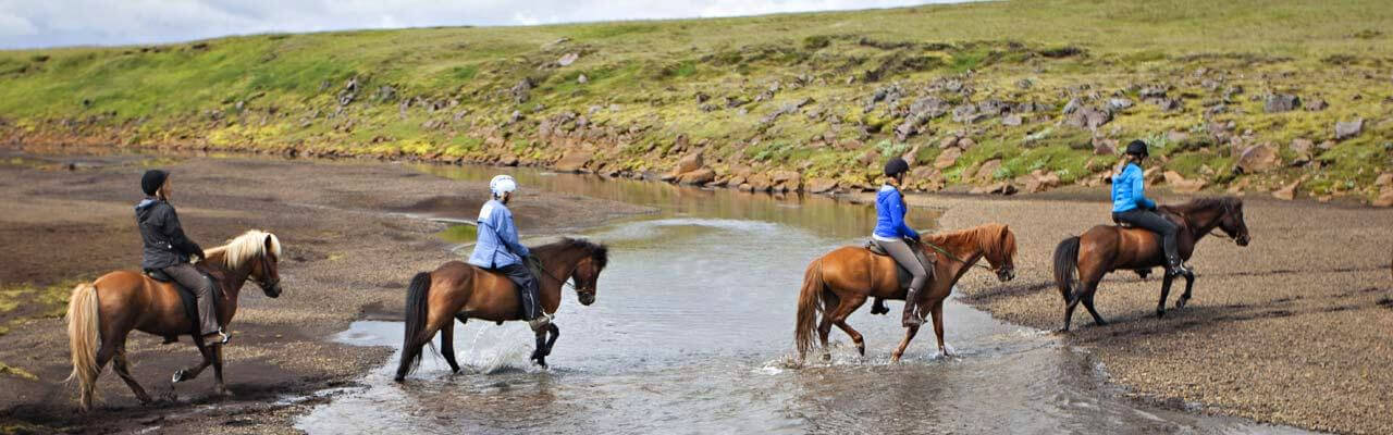 アイスランド乗馬ツアー