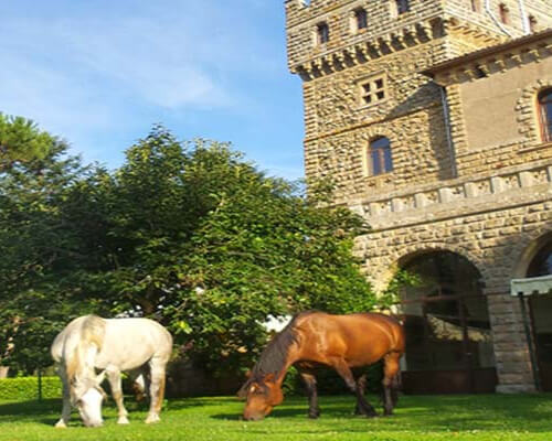 イタリア乗馬ツアー
