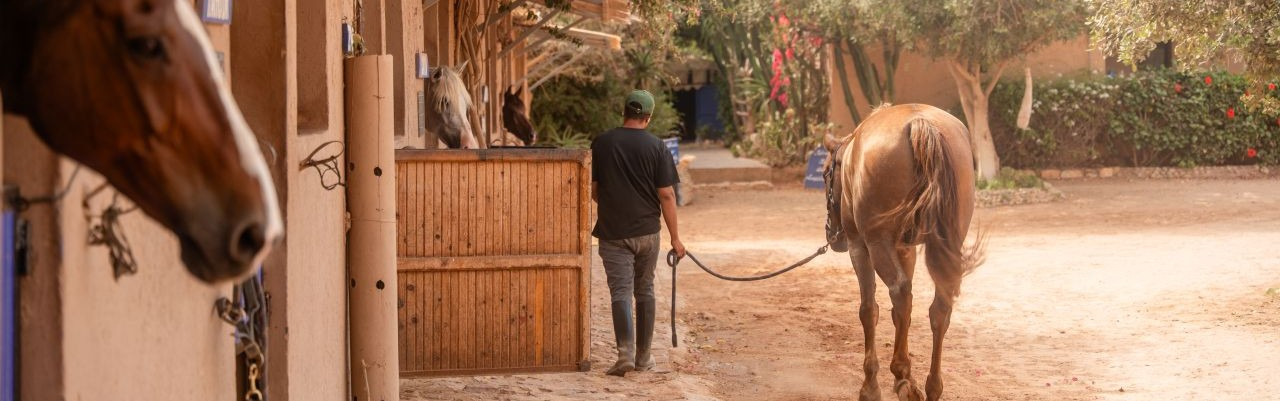 モロッコ乗馬ツアー