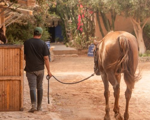 モロッコ乗馬ツアー