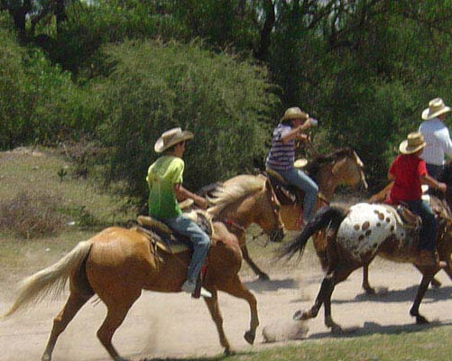 メキシコ乗馬ツアー