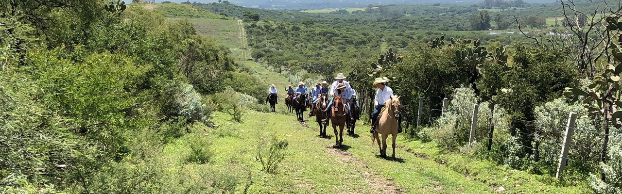 メキシコ乗馬ツアー