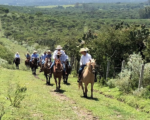 メキシコ乗馬ツアー