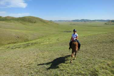 モンゴル ゴビとモンゴル平原