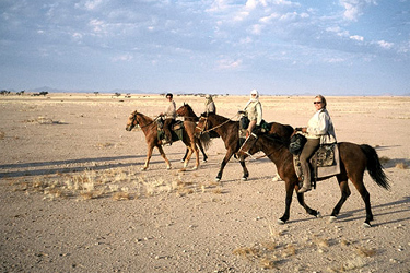 ナミビア ナミブ砂漠 トレイル
