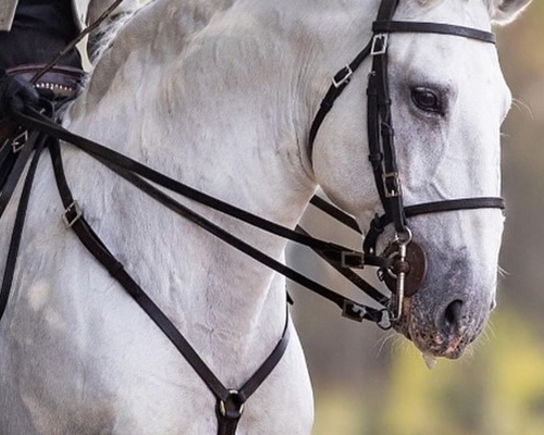 ポルトガル乗馬ツアー