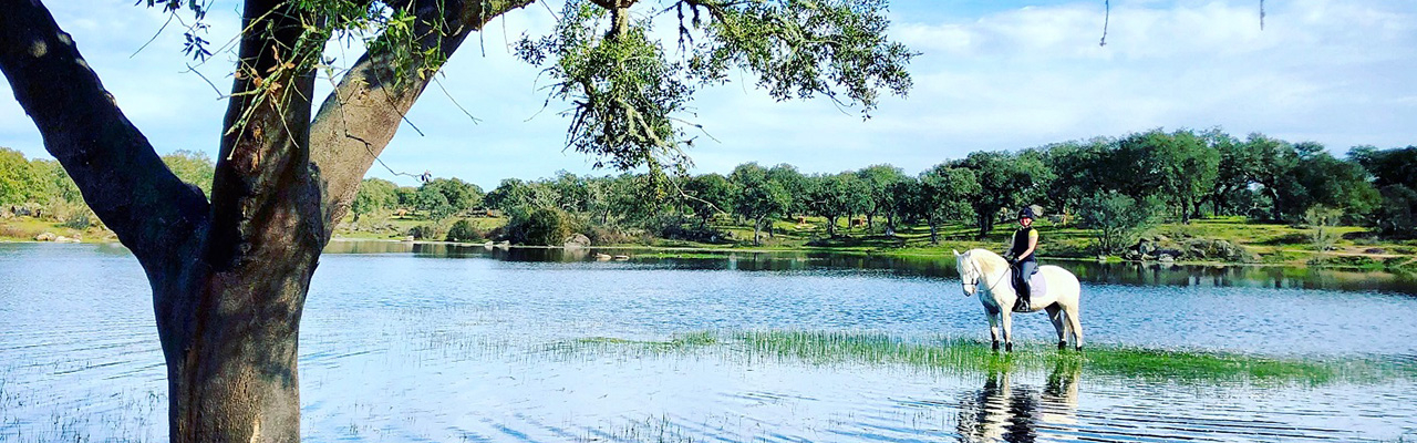 ポルトガル乗馬ツアー