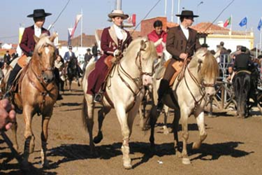 ポルトガル ゴレガン 馬の祭典