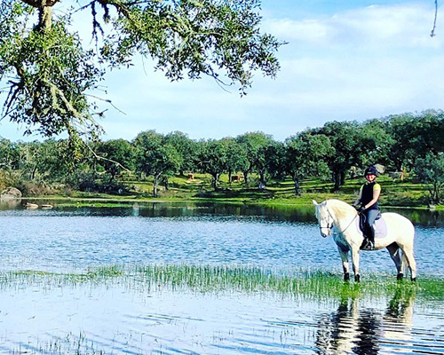 ポルトガル乗馬ツアー