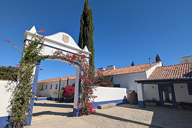 ポルトガル ラグジュアリーロッジとドレッサージュ2