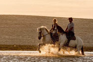 ポルトガル アレンテージョのビーチ乗馬