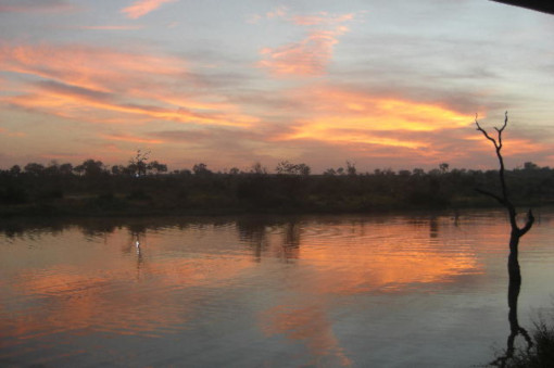 South Africa2