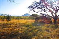 タンザニア アンボセリ国立公園南部とキリマンジャロ3