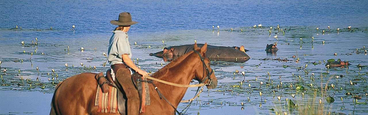 南アフリカ乗馬ツアー