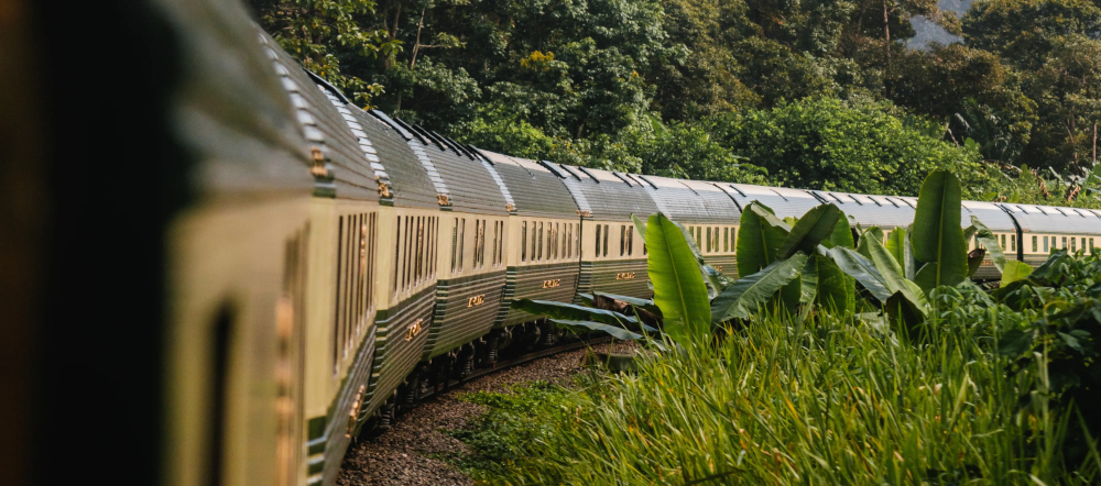 ワイルドマレーシア