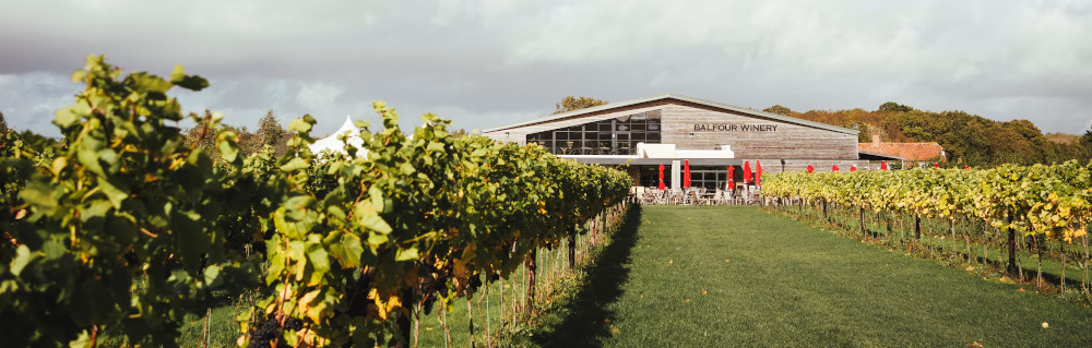 バルフォー・ワイナリー