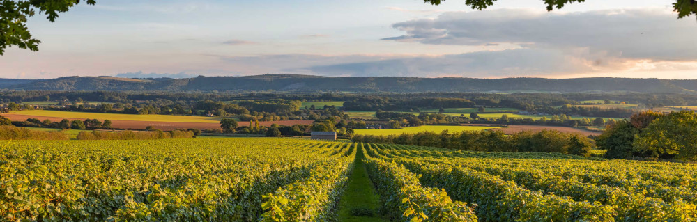 ナイティンバー・エステート