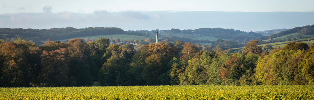 シンプソンズ・ワイナリー