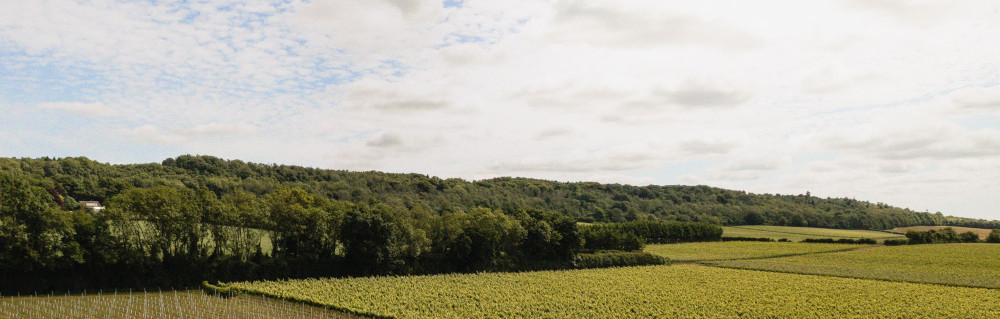 ウェストウェル・ワイン・エステート