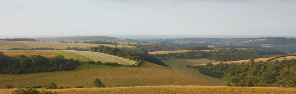 ウィストン・ワイナリー