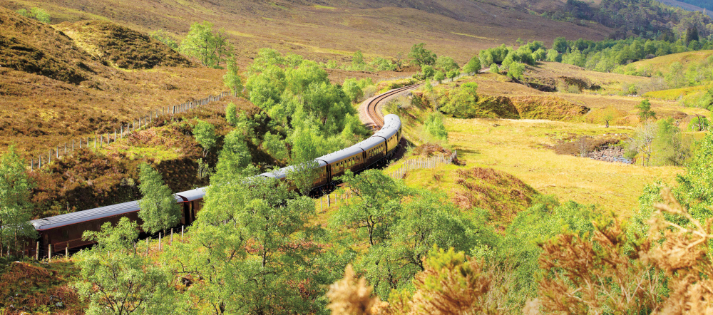 クラシック ロイヤルスコッツマン